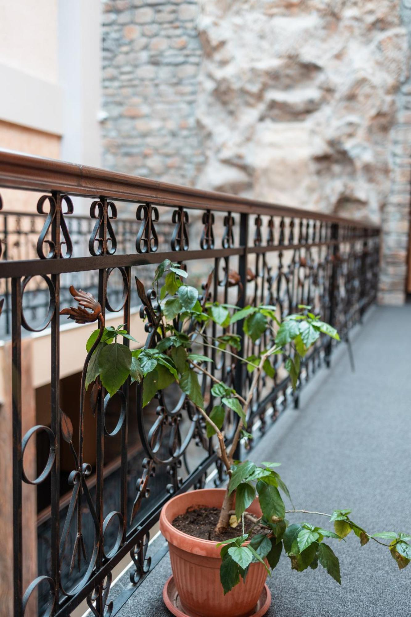 Hotel Neptun Vidin Eksteriør billede